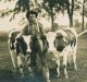 HUNTSINGER JR, Albert Arthur 'Bert' (1878-1943). Spouse: Mattie HOLMES. Farm was located in Winnebago County, WI, USA.